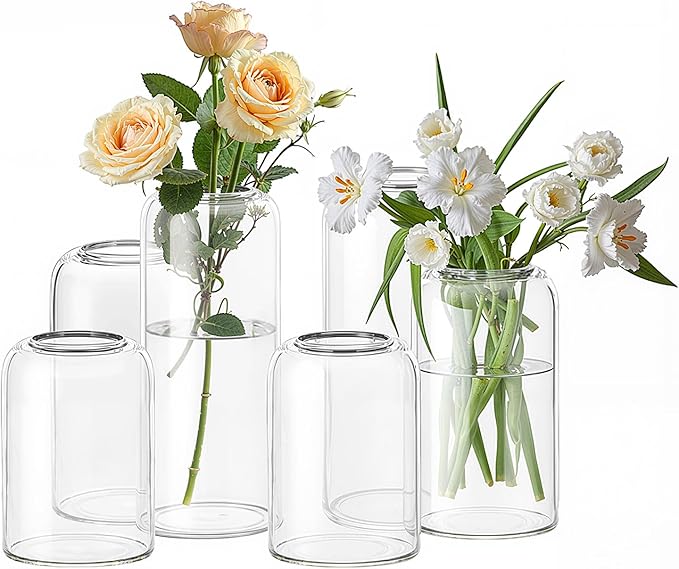 Set of 24 Clear Glass Vases Cylinder Flower Vase by Unknown