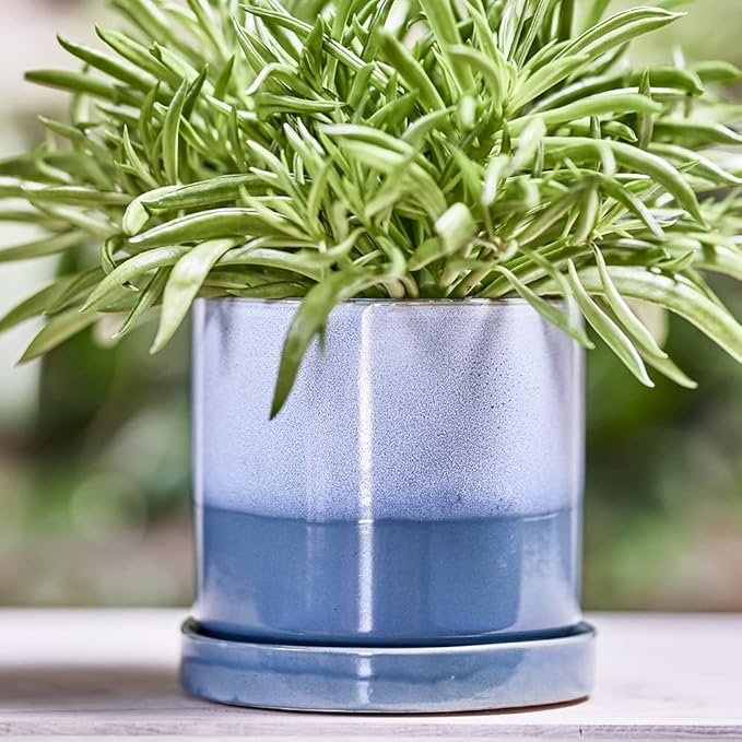 CHIVE ‘Minute’ Ceramic Planter Pot — Cute 5” Colorful Succulent Pots - Image 4