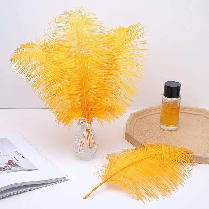 24pcs Natural Luxury Gold Ostrich Feathers 10-12inch - Image 5