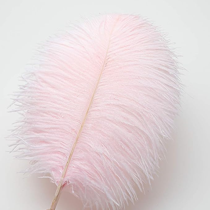24pcs Natural Light Pink Ostrich Feathers 10-12inch - Image 2