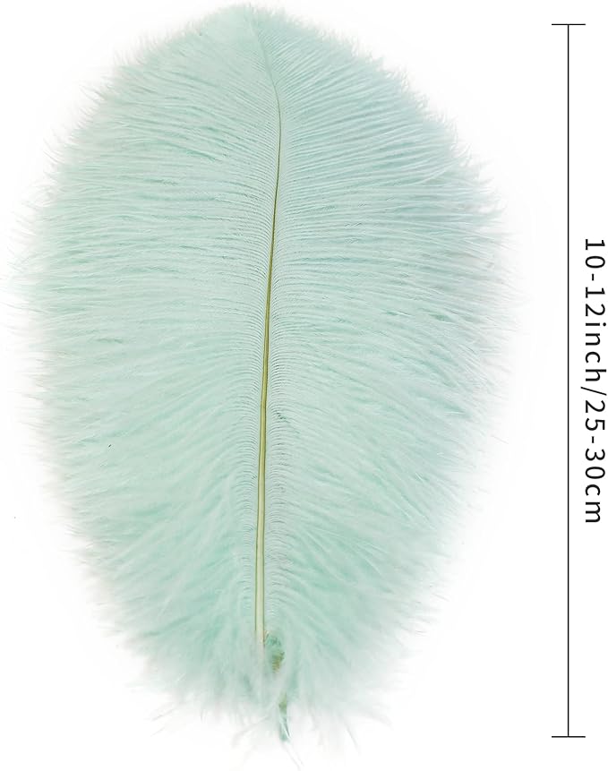 Ballinger Aqua Green Ostrich Feathers - Image 3