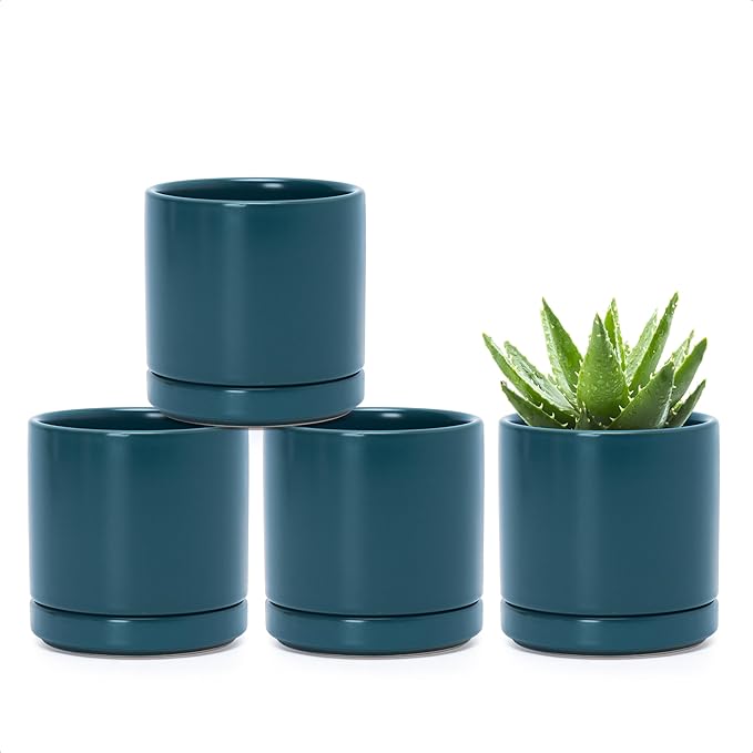 D'vine Dev Set of 4 Small Ceramic Plant Pots, 3.5 Inch Succulent Planter Pot by DvineDevPlanterPotsandStand