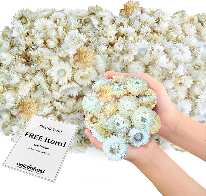 Dried Flower White Straw Daisy Biodegradable Confetti by JAPJA