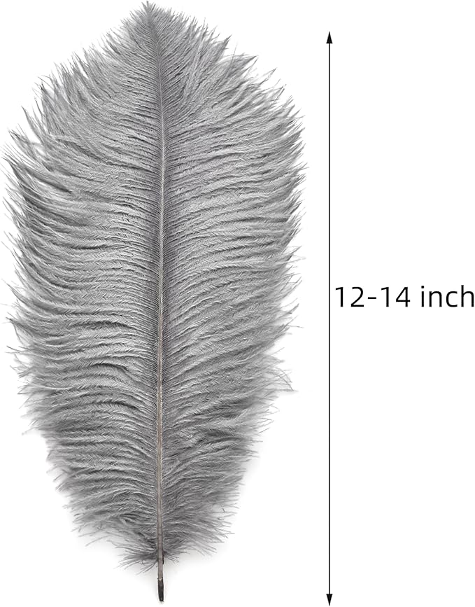 Ballinger Natural Gray Ostrich Feathers - Image 3