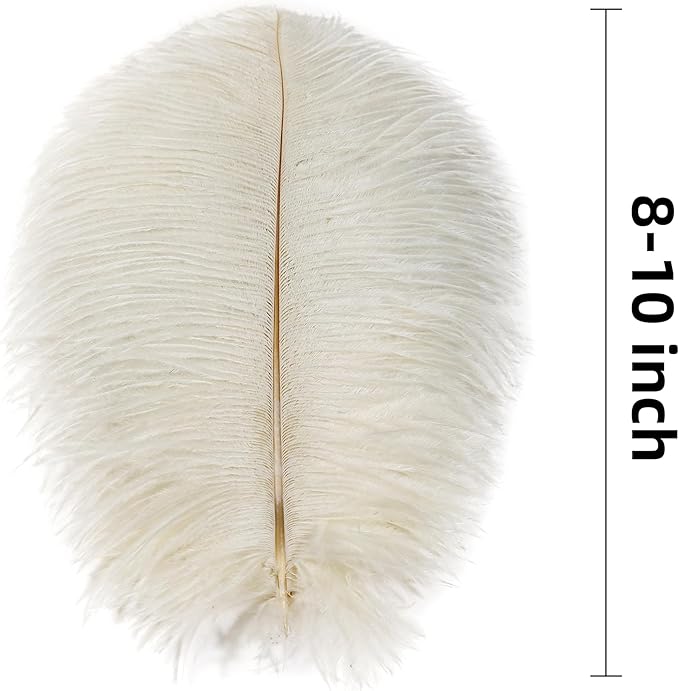 Ballinger Beige Ostrich Feathers Bulk - Image 3