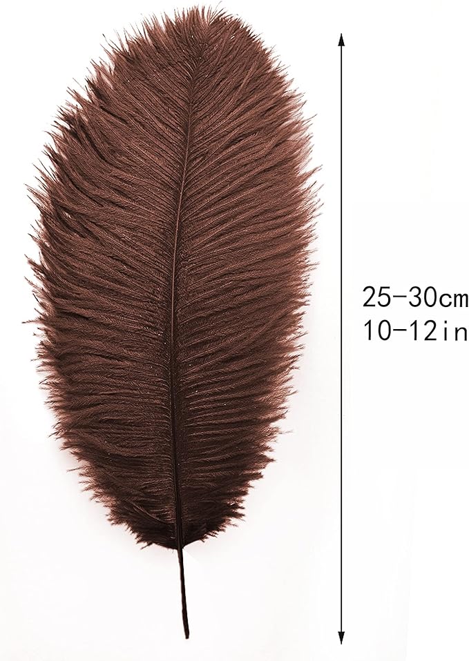 Ballinger Brown Ostrich Feathers Bulk - Image 3