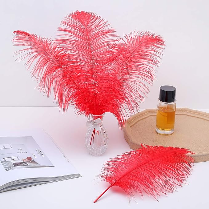 Ballinger Red Ostrich Feathers Bulk - Image 5