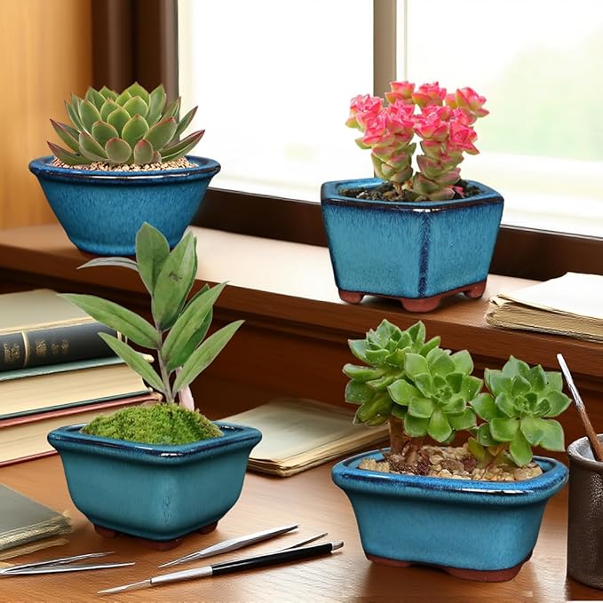 MUZHI 6PACK Glazed Bonsai Pot Planter 3" 4” Small Succulent Pots, Yixing Zisha - Image 6