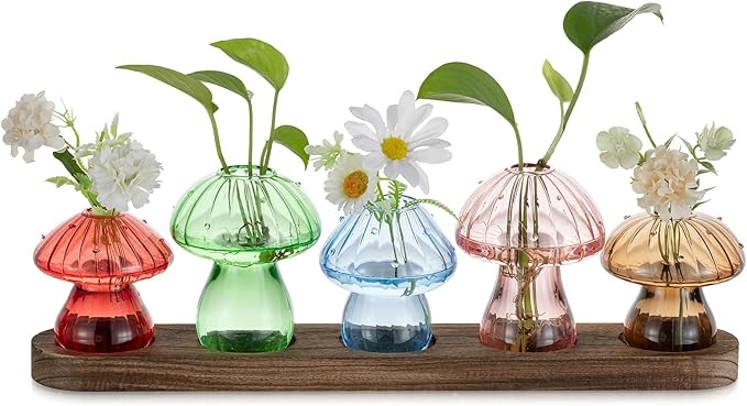 Glasseam Mushroom Plant Propagation Stations: Glass Terrarium Jars by Glasseam