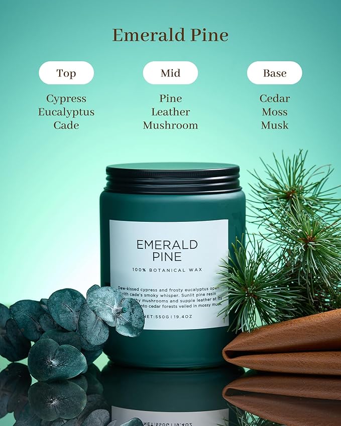 M&SENSE Pine Scented Candles Natural Soy Wax Clean Non Toxic 19.4oz 110 Hours - Image 2