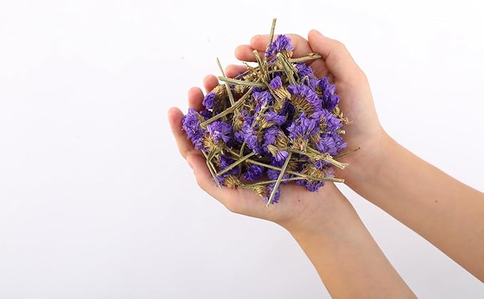 Dried Flower Forget Me Not Biodegradable Confetti - Image 9