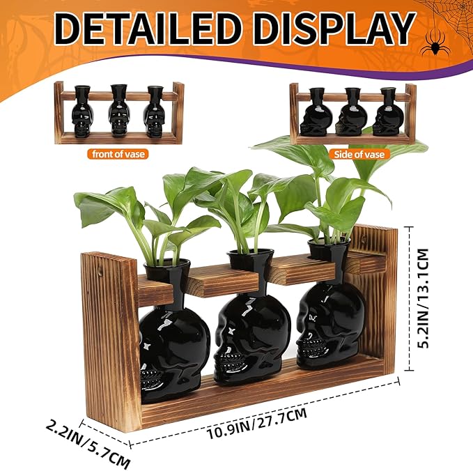 Plant Terrarium Propagation Stations Hydroponics Halloween Skull Planter Vase - Image 3