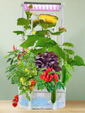 Hydroponics Growing System kit by ESUPEREGROW