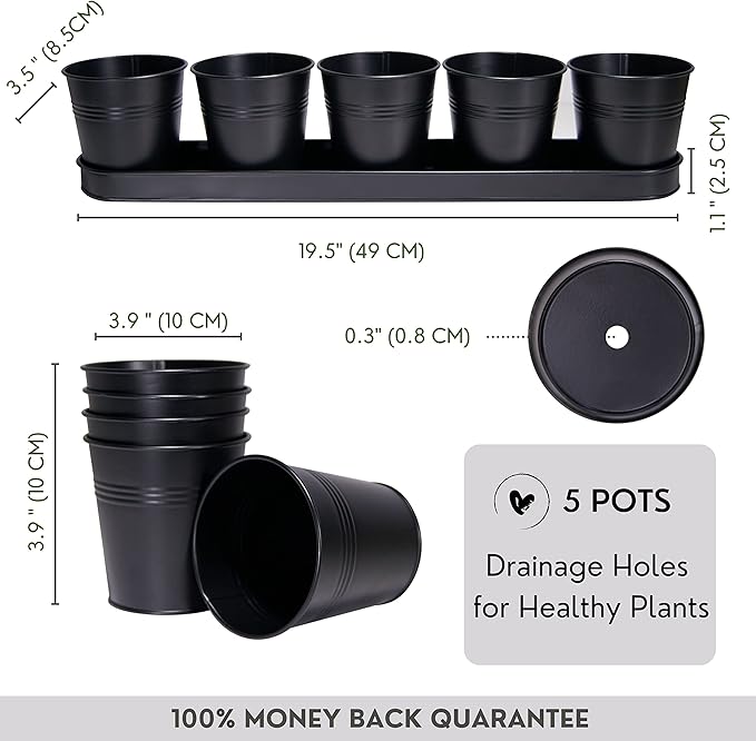 SCANDINORDICA Black Herb Planter – 5 Pots - Image 3