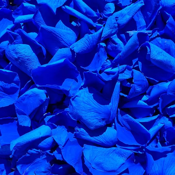 200Pcs Real Dried Preserved Royal Blue Rose Petals, Natural Flowers 1.75oz by Koceko