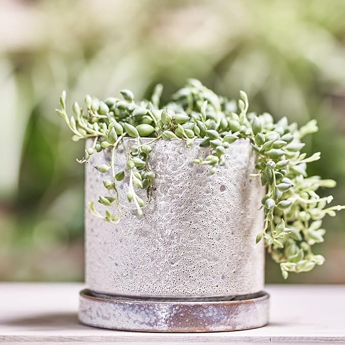 CHIVE ‘Minute’ Ceramic Planter Pot — Cute 5” Colorful Succulent Pots - Image 4