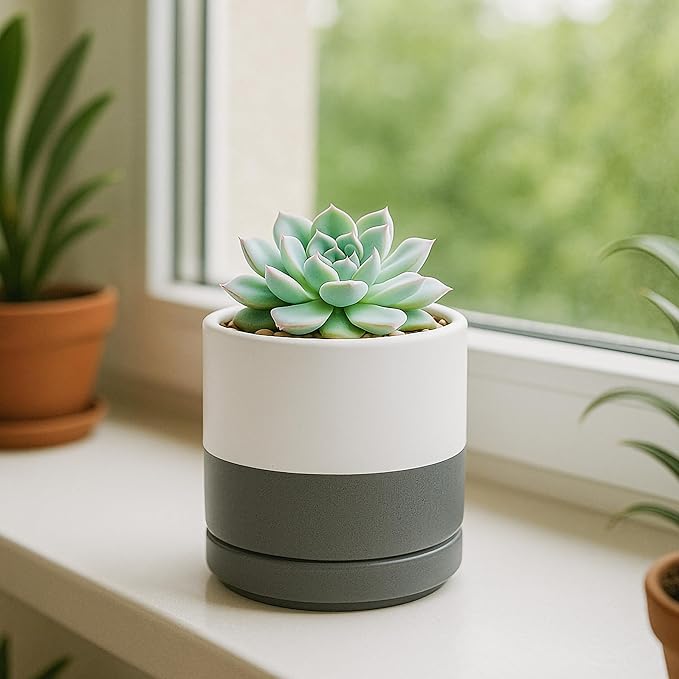 D'vine Dev Set of 4 Small Ceramic Plant Pots, 3.5 Inch Succulent Planter Pot - Image 3