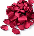 ZOOYOO 200Pcs Burgundy Silk Rose Flower Petals by ZOOYOO