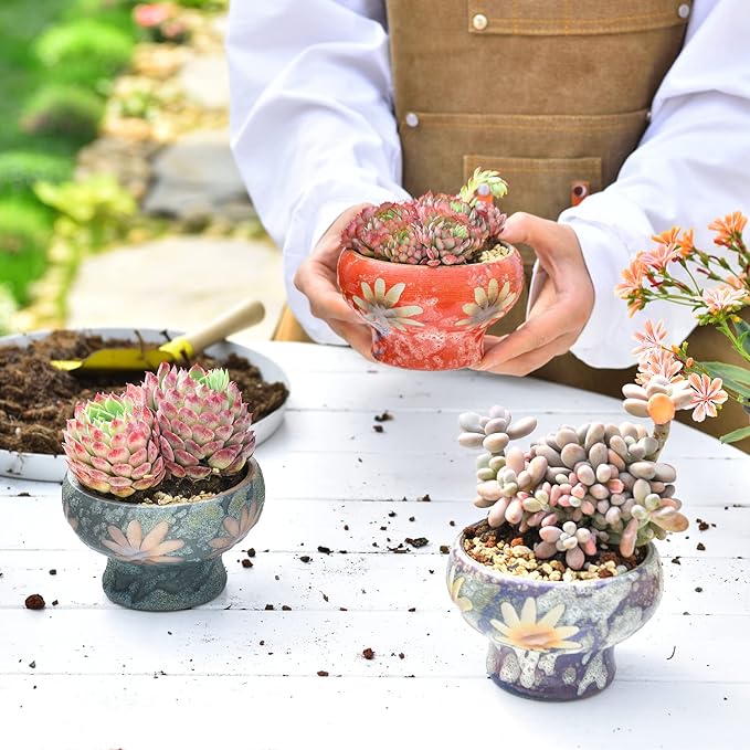 Sungmor Small Succulent Planters Set of 3, Beautiful Hand Crafted Ceramic Plant - Image 7