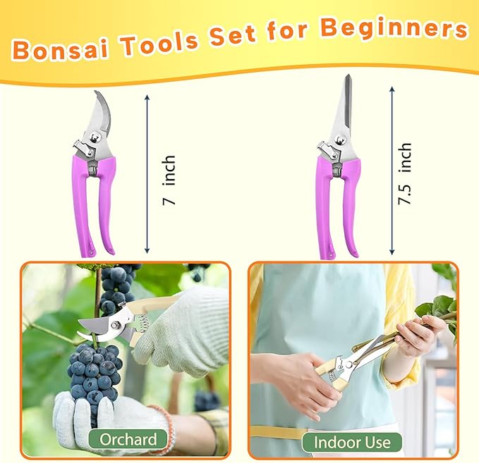 Bonsai Tools Set for Beginners, Bonsai Tree Kit - Image 2