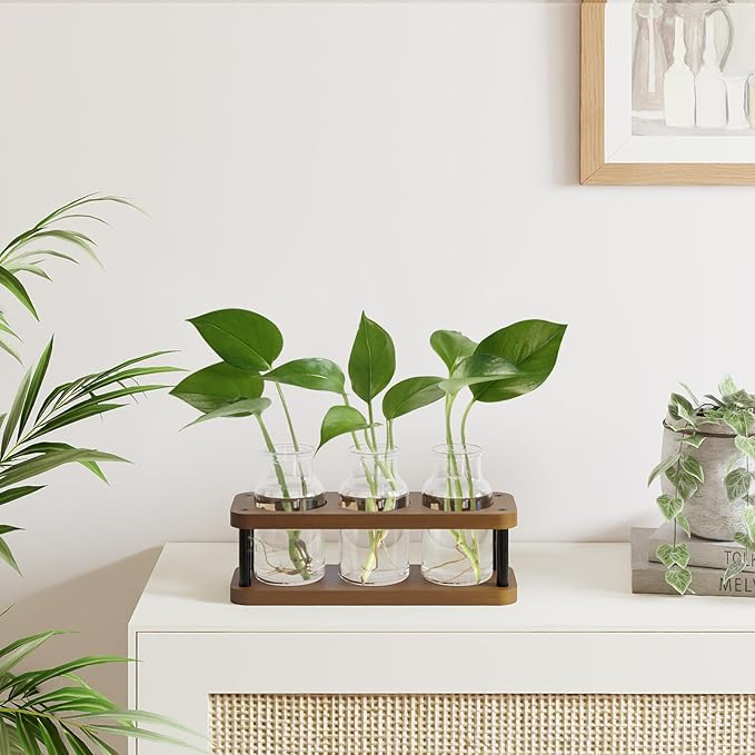 THYGIFTREE Plant Propagation Station - Image 2