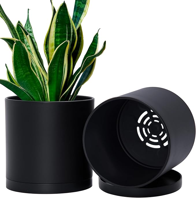 D'vine Dev 2 Pack 6.5 Inch Modern Plastic Plant Pots, Small Garden Planters by DvineDevPlanterPotsandStand