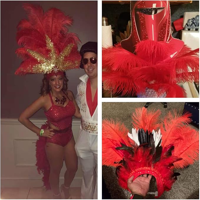 Ballinger Red Ostrich Feathers Bulk - Image 6