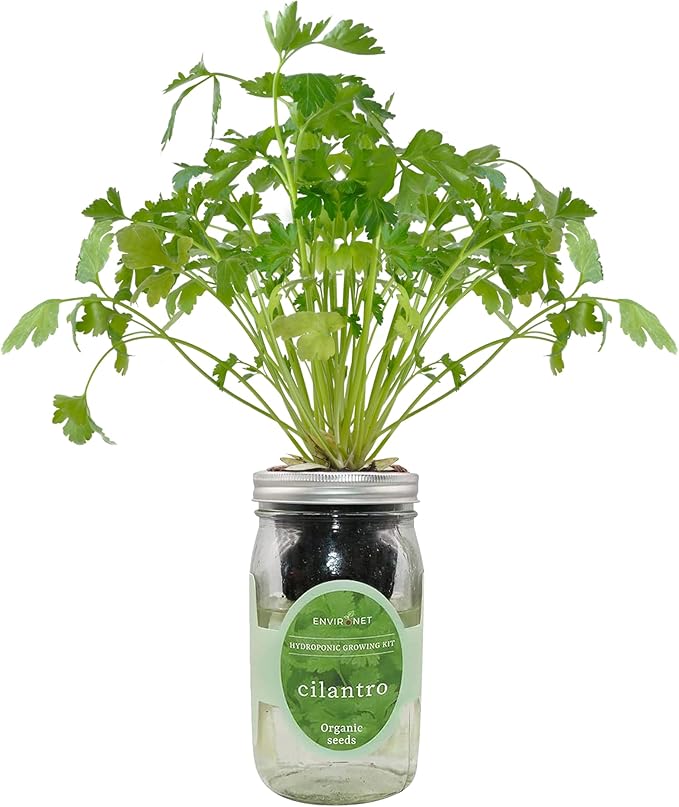 Hydroponic Herb Growing Kit, Self-Watering Mason Jar Window Herb Garden Starter by Environet