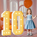 3FT Marquee Numbers 10, Large Light Up Numbers 10th Birthday Decorations by HITINO