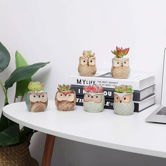 T4U 2.5 Inch Owl Ceramic Succulent Planter Pots - Image 7