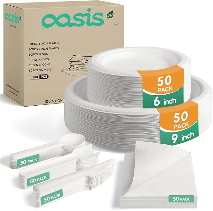 300PCS Disposable Paper Dinnerware Set by Unknown
