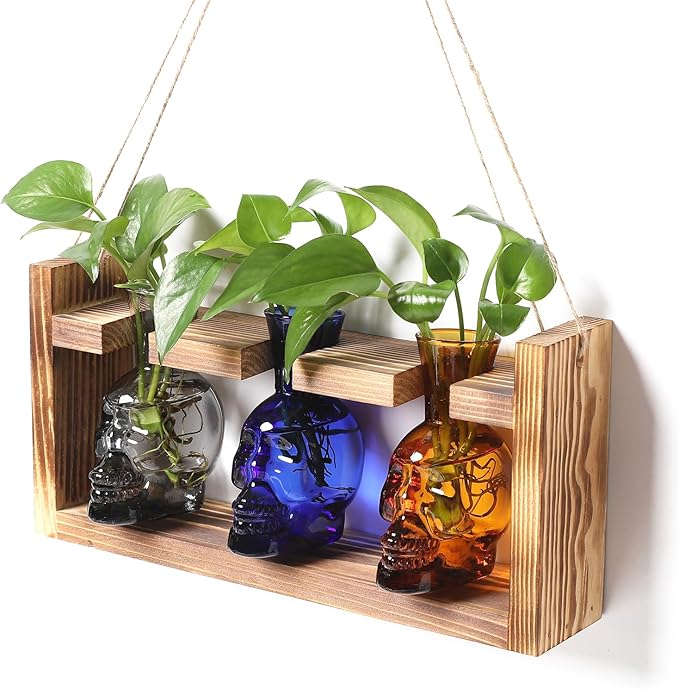 Plant Terrarium Propagation Stations Hydroponics Halloween Skull Planter Vase by Unknown