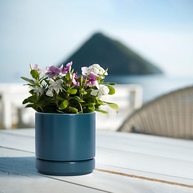 D'vine Dev Set of 4 Small Ceramic Plant Pots, 4.7 Inch Succulent Planter Pot - Image 7