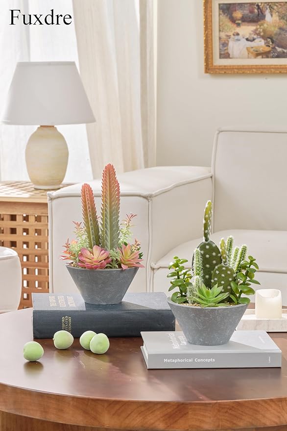 2-Pack Artificial Succulent Plants in Vintage Plastic Pots - Image 3