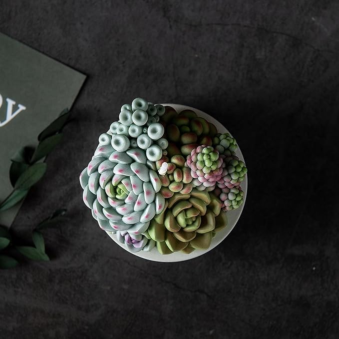 Assorted Succulent Pot Scented Candle - Image 7