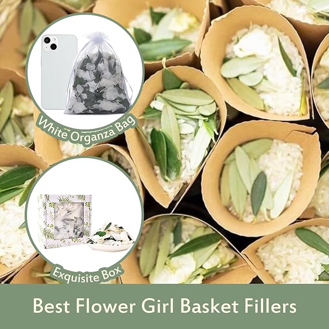 Real Dried Ivory White Hydrangea Flower & Eucalyptus Petals - Image 5