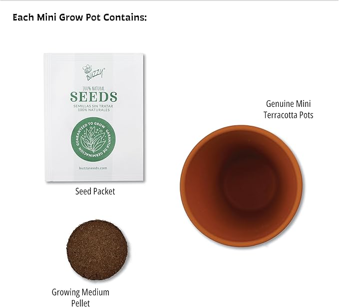 BUZZY Seeds Terracotta Mini Grow Pots | Flower Starter Kit - Image 3