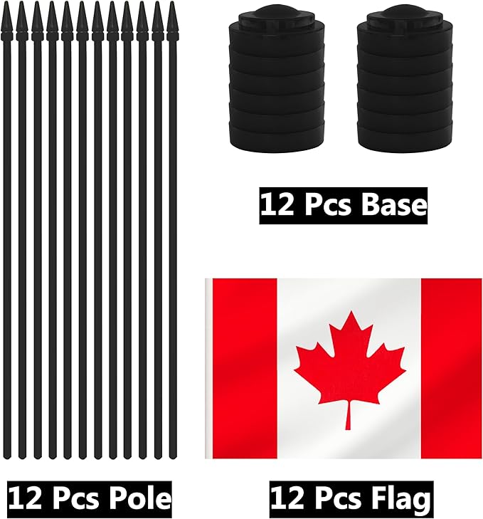 12 Pack Canada Desk Flags, Canadian Desktop Flag, Small Miniature Office Flags - Image 3