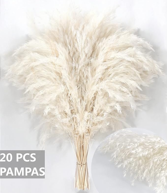 White Pampas Grass for Home Decor - Image 5