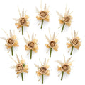 Serwalin 10Pcs Boutonniere for Men, Khaki Groom and Best Man Boutonniere by Serwalin