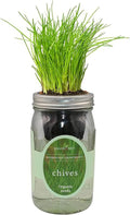 Hydroponic Herb Growing Kit, Self-Watering Mason Jar Herb Garden Starter Kit by Environet