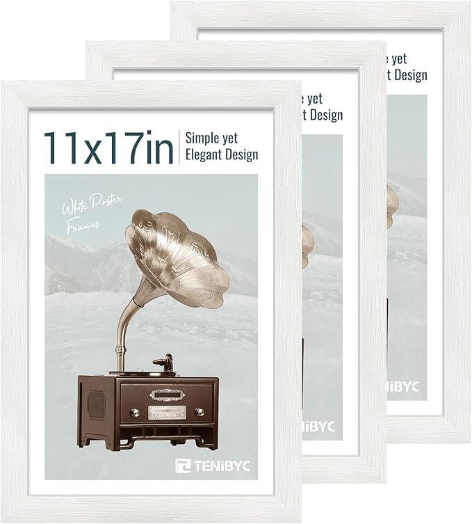 11x17 Picture Frame 3 Pack by TENiBYC