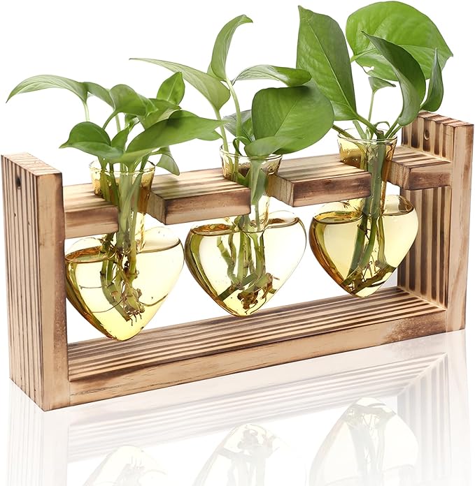 Plant Terrarium Propagation Stations Hydroponics Home Garden Decoration Gift by Unknown