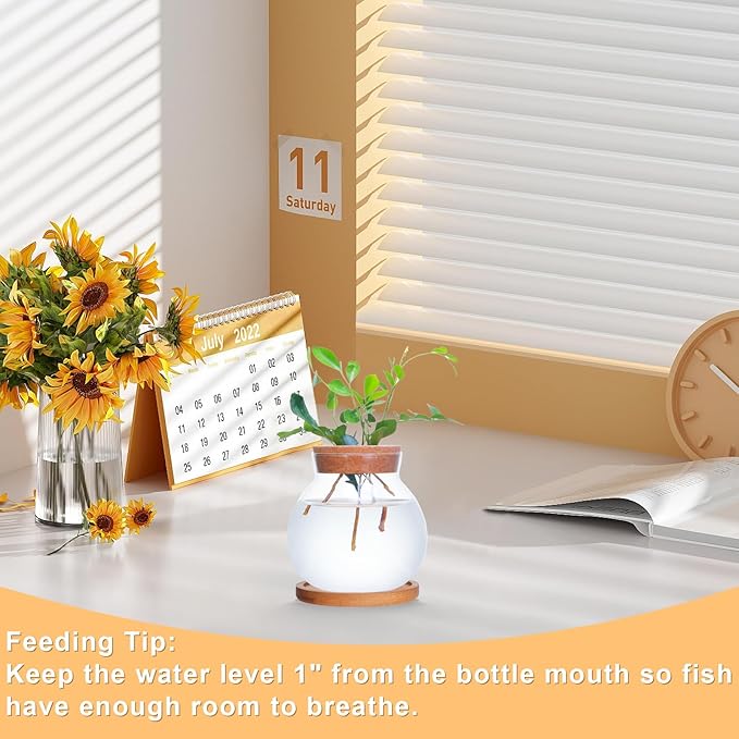 Tabletop Plant Propagation Station, Aquatic Plant Culture Glass Mini vase - Image 7