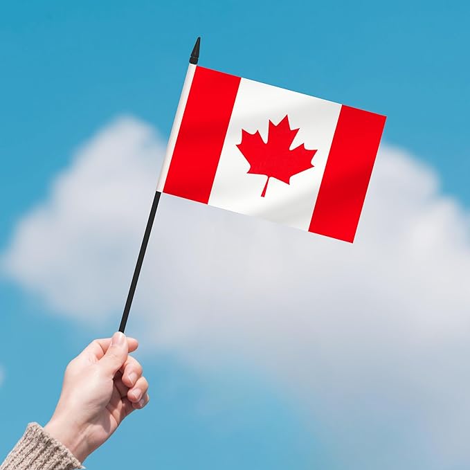 2 Pack Canada Desk Flag Set, Canadian Desktop Small Miniature Table Office Flag - Image 7