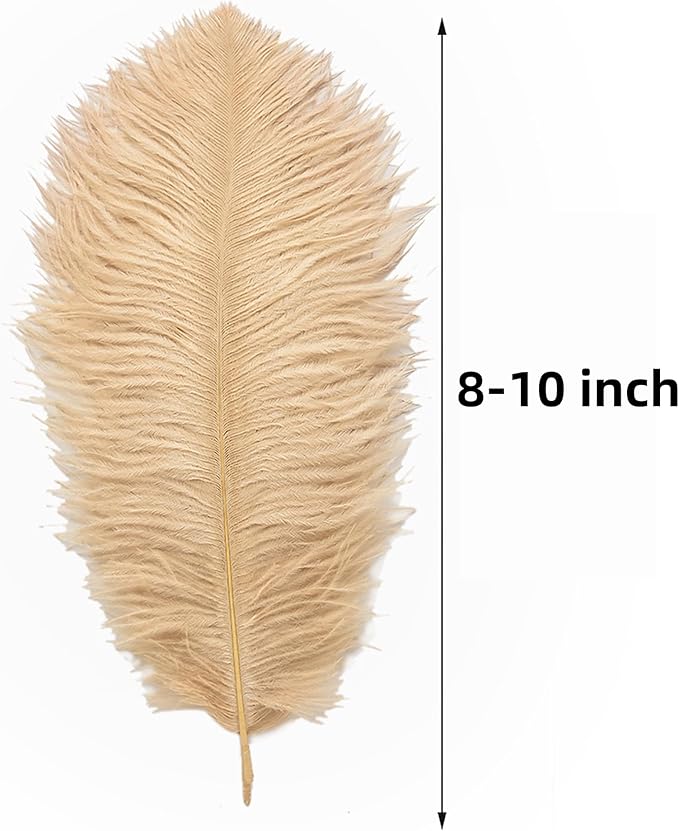 Ballinger Large Champagne Ostrich Feathers - Image 3