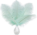 Ballinger Aqua Green Ostrich Feathers by Ballinger