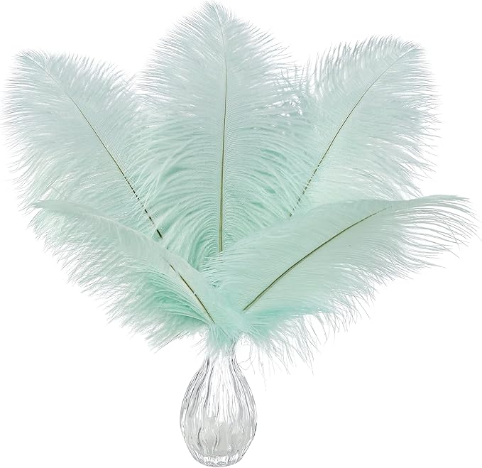 Ballinger Aqua Green Ostrich Feathers by Ballinger