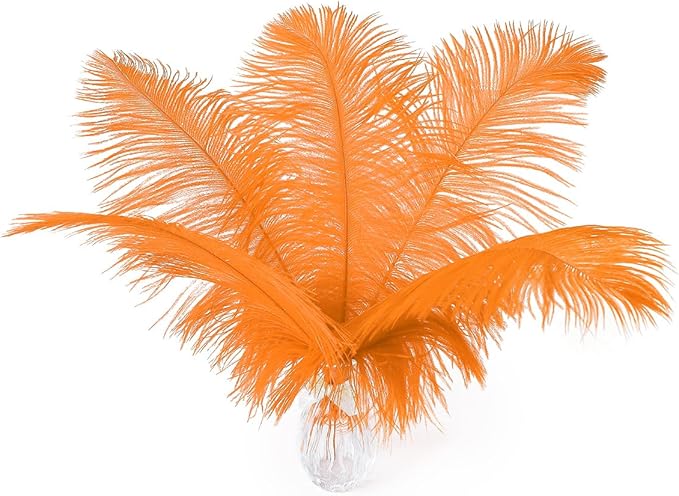 Ballinger Orange Large Ostrich Feathers by Ballinger