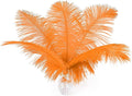 Ballinger Orange Large Ostrich Feathers by Ballinger